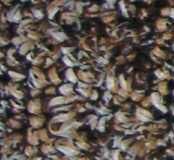 Indoor Outdoor Carpets