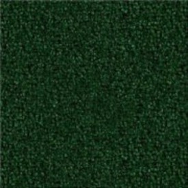 Sherwood Indoor Outdoor Carpet