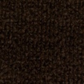 Expedition Indoor Outdoor Carpet