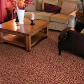 Stanton Lake Zebra Print Carpet