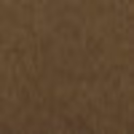 Sisal Indoor Outdoor Carpet