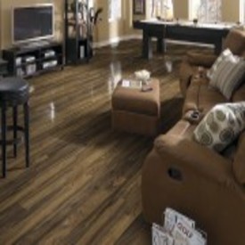 Shaw Ritz Collection Laminate Flooring