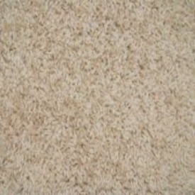 Twist Of Fate I Frieze Carpet