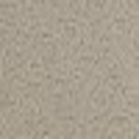 4B640 Elegant Charm - Cut Uncut Carpet