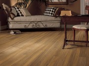 Shaw African Vue Laminate Flooring