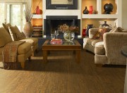 Shaw Peruvian Vue Laminate Flooring