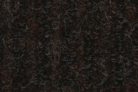 Inspiration Indoor Outdoor Carpet