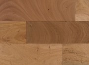 Patagonian Amendoim 5/8 - IndusParquet Solid Coterie Hardwood