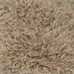 255-camel-small.jpg