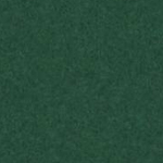 Nature's Choice Indoor Outdoor Carpet