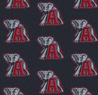College Area Rugs