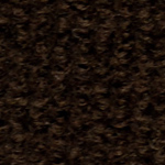 Expedition Indoor Outdoor Carpet