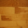 Monroe Betula