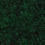 Perfect Touch Indoor Outdoor Carpet
