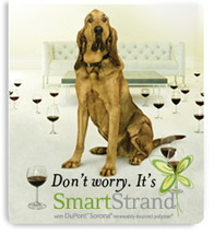 smart-strand-dog.jpg