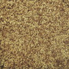 3204 Gold