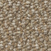 Countryside Indoor Outdoor Carpet