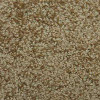 Solutions - 1526 Safari Tan