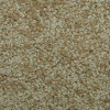 Solutions - 1533 Saddle