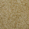 Solutions - 1550 Desert Tan