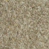 Bayside - 3803 Barnwood