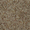 Bayside - 3805 Pecan Shell