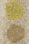mustard-coffee-smartstrand-small.jpg mustard-coffee-smartstrand-small.jpg