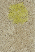 mustard-coffee-water-nylon-small.jpg mustard-coffee-water-nylon-small.jpg