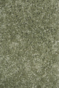 smartstrand-before-small.jpg smartstrand-before-small.jpg